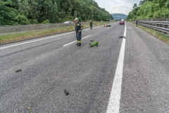 20190620_170734000_iOS-1 20190620_170734000_iOS-1