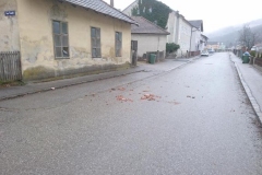 20200204_193947832_iOS