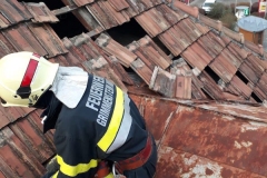 20200205_053436588_iOS