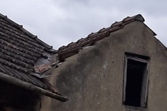 20200205_053445557_iOS