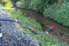 PHOTO-2021-07-10-15-31-23