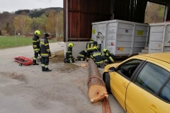 IMG-20220409-WA0009