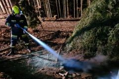 IMG-20220412-WA0008